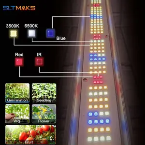 ETL 1200W 1000W 에코 상업 농장 사용자 정의 디밍 10 - 12 바 원예 문화 Led 의료 성장 키트 텐트 성장 빛 시스템