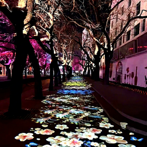 Outdoor Interactive Projection Projector Lamp Ip65 For Waterfront Squares Night Festivals And Shows - Product Image 6