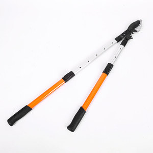 Hiroki Oka Telescopic Lopping <b>Shears</b> 62Cm Stainless Steel Pruning <b>Tool</b> For Fruit Trees And Landscaping - Product Image 2