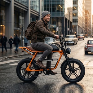 <span class=keywords><strong>Vélo</strong></span> électrique tout-terrain à gros pneus avec porte-bagages arrière, <span class=keywords><strong>vélo</strong></span> électrique pour le camping et les activités de loisirs en plein air - Product Image 3