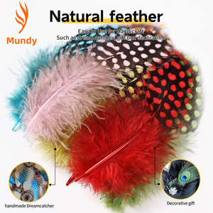 Plumas <span class=keywords><strong>de</strong></span> <span class=keywords><strong>Gallina</strong></span> <span class=keywords><strong>de</strong></span> <span class=keywords><strong>Guinea</strong></span> Teñidas <span class=keywords><strong>de</strong></span> 2-4 Pulgadas, Coloridas, Personalizadas, <span class=keywords><strong>de</strong></span> Excelente Calidad y <span class=keywords><strong>Precio</strong></span> Económico, para Decoración <span class=keywords><strong>de</strong></span> Fiestas - Product Image 3