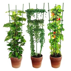 Cage à tomate en métal haute qualité, piquets de Support de jardin <span class=keywords><strong>pour</strong></span> plantes <span class=keywords><strong>grimpantes</strong></span>, nattes de jardin d'extérieur, <span class=keywords><strong>pour</strong></span> légumes, Fruits, <span class=keywords><strong>fleurs</strong></span> - Product Image 3