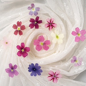 12 pièces/sac variété de <span class=keywords><strong>verveine</strong></span> couleurs naturelles <span class=keywords><strong>fleur</strong></span> pressée pour la décoration d'art d'ongle - Product Image 3