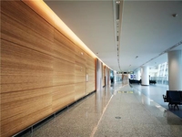 Panneaux alvéolaires en aluminium pour revêtement mural intérieur moderne Panneau alvéolé en aluminium pour mur