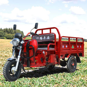 Triciclo Potente de Gasolina de Carga Pesada Vehículo Motorizado Pequeño para Uso Agrícola y Doméstico con Carrocería Abierta - Product Image 5
