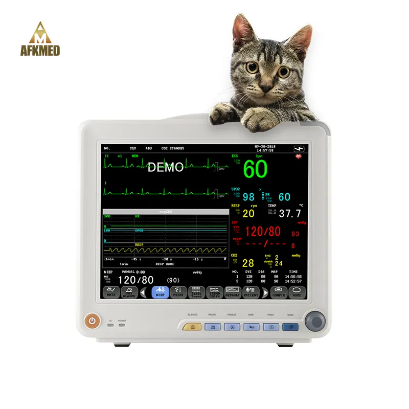 Medizinische Ausrüstung Veterinär Herz Monitor Krankenhaus Tier ICU Monitor Tragbare Tierarzt Monitor