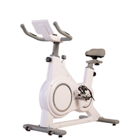 Mini équipement magnétique de forme physique de vélo d'exercice en acier de gymnase de cyclisme commercial populaire pour le vélo stationnaire de rotation à vendre