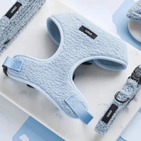 Nouveauté 2025, collier, harnais et laisse pour chien en velours Teddy, confortable et chaud, avec logo personnalisé, design de luxe