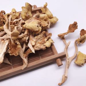 12021 Ji You Jun Cogumelos Amarelos Desidratados Naturais de Alta Qualidade Cantharellus Cibarius Secas Chanterelle Processamento Cru AD - Product Image 4