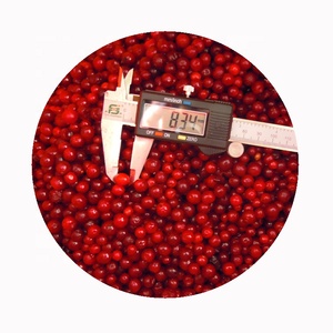 Cranberries surgelées IQF <span class=keywords><strong>de</strong></span> qualité supérieure cultivées en plein air en vrac - Product Image 1