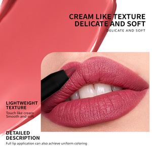 Crayon à lèvres imperméable, mat, longue tenue, haute pigmentation, pour une application complète des lèvres, coloration uniforme - Product Image 4