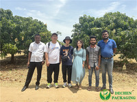Sacs de protection pour mangues du Sri Lanka, sacs de protection pour fruits en agriculture au Bangladesh