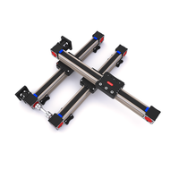 Module de mouvement linéaire CNC à entraînement par courroie, portique à mouvement linéaire simple XY2 axes, robot économique et efficace, longueur personnalisable de 50 à 3800 mm