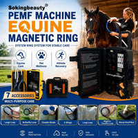 Appareil de thérapie PEMF équin populaire, y compris une machine à anneau de thérapie PEMF polyvalente pour les thérapeutes équins et les grandes fermes équestres