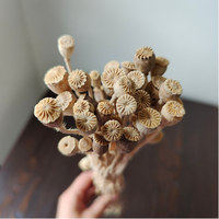 Echte Getrocknete Gold- und Silber-Mohnblumen 40 Gramm pro Bündel für Blumenarrangements zu Hause und DIY-Hochzeitsdekorationen