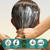 Shampooing et savon à base de plantes Usman Grass & Platycladus, traitement naturel contre la perte de cheveux, renforce les racines, contrôle le sébum, nettoie le cuir chevelu, favorise la croissance des cheveux