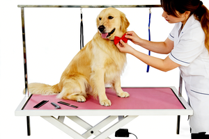 電動ペットグルーミングテーブル 650-900mm 高さ調節可能 大型滑り止めトップ プロ用サロンクリニック家庭用 - Product Image 2