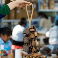 Mixed Seed Shell Shaker Design Options Handmade Nut Shell Rattle Musical Instrument Sound Effects Acoustic Percussion Sessions