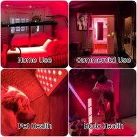 Appareil PDT AZURE OEM ODM avec logo personnalisé, pour usage domestique, soin de la peau du visage et du corps, dispositif infrarouge, panneau de luminothérapie LED rouge