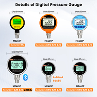 Calibrateur de pression manuel Moray MEZ4002 en acier inoxydable pour mesures pneumatiques – Pompe manuelle d'étalonnage de pression