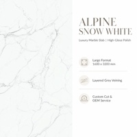 Grande dalle de pierre frittée polie Tianshan Snow, finition veinée blanc-gris, pour la décoration intérieure d'hôtels, villas et espaces commerciaux
