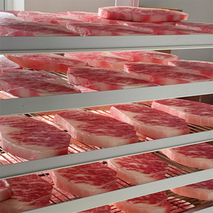 Modèle de présentation créatif et réaliste en forme de steak flocon de neige, impression UV 3D, en PVC artificiel, jouet de cuisine, bloc de viande crue, grand modèle de présentation pour la cuisson - Product Image 5