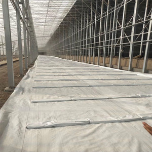 Paillis anti-herbe en plastique blanc anti-UV 6m X 50m pour <span class=keywords><strong>fruit</strong></span> <span class=keywords><strong>du</strong></span> <span class=keywords><strong>dragon</strong></span>, paillis en plastique réfléchissant blanc PE 80gsm pour pommier - Product Image 6