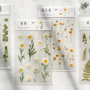 Pegatinas personalizadas con <span class=keywords><strong>palabras</strong></span> japonesas de trébol Margarita, flores transparentes, hojas, plantas, pegatinas decorativas - Product Image 1