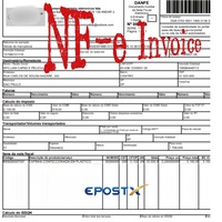 CNPJ客户的巴西海上运输（DDP）服务，包括全部NF-e税费并遵守相关法规，从中国到圣保罗，可靠的货运代理公司