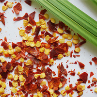 Vente en gros de flocons de piment au paprika fumé rouge AD Ingrédients alimentaires crus Herbes et épices individuelles Granule d'emballage de piment séché non moulu