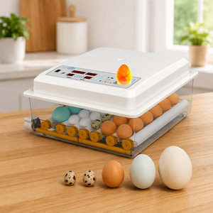 Incubateur <span class=keywords><strong>à</strong></span> œufs 36 places entièrement automatique, couveuse intelligente pour œufs de <span class=keywords><strong>poulet</strong></span>, canard, oie, pigeon, petite machine d'incubation domestique - Product Image 1