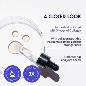 Premium Usa-Made Dagelijkse Vloeibare Collageen Hondensupplement Fabriek Directe Heupgewricht Ondersteuning Hyaluronzuur Types 1 2 3 Voor Gezond - Product Image 2