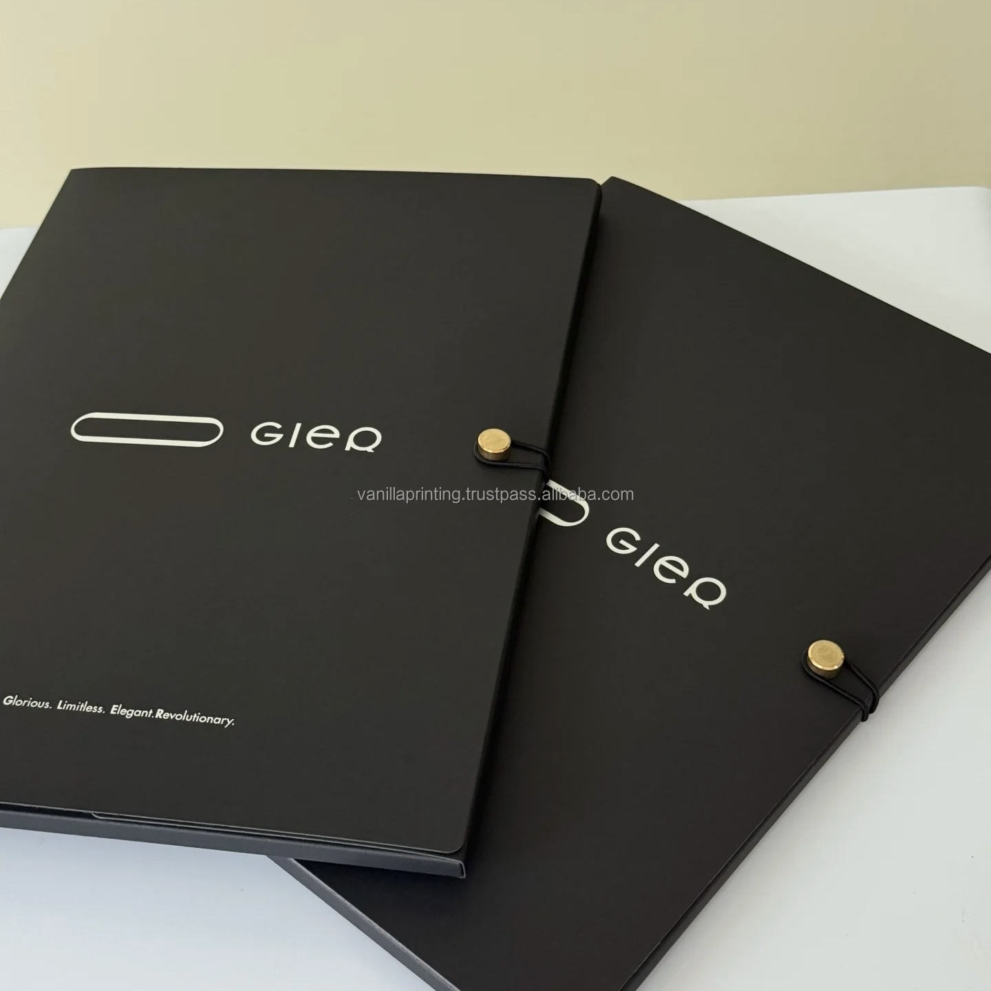 Folder With Clear Plastic Sleeves At Carlos Snyder Blog - View #4