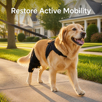 Harnais de soutien arrière orthopédique pour chien en maille polyester respirante pour dysplasie de la hanche, récupération de la LCA, confort réglable, mobilité animale