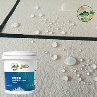 Revêtement protecteur transparent en acrylique pour murs intérieurs et extérieurs, anti-UV, imperméable, revêtement liquide pour murs en pierre véritable