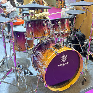 WD-12MAX hailun Trống điện chất lượng cao nhạc cụ gõ nhà máy bán hàng trực tiếp nhà máy trực tiếp giá rẻ - Product Image 4