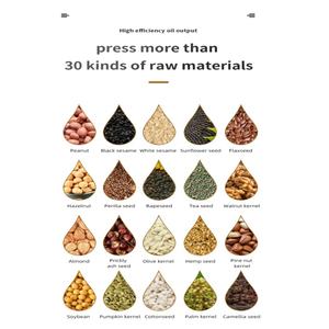 Presse à <span class=keywords><strong>Huile</strong></span> Haute Capacité 20kg/Heure pour Petites Entreprises, Qualité Commerciale - Product Image 6