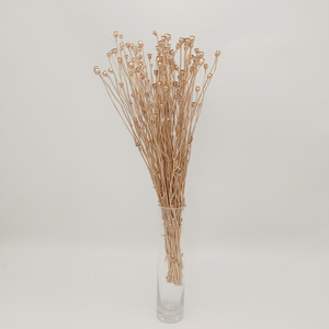 Fleurs et plantes décoratives en gros, pavot de la vallée séché, pavot de la vallée séché, bouquets de fleurs conservées, décoration de mariage, décoration de la maison, cadeau - Product Image 4
