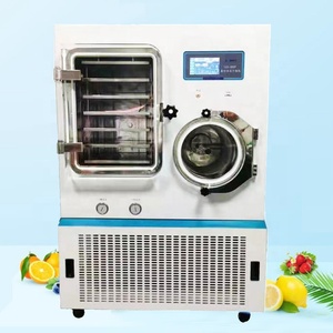 Liofilizador al Vacío para Alimentos de Mascotas, Frutas Pequeñas, Equipo de Liofilización al Vacío - Product Image 2