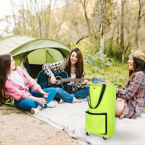 Sac de courses pliable à deux compartiments avec fermeture éclair et roulettes, chariot de courses - Product Image 4