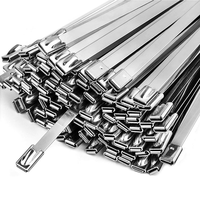 Attache-câble en acier inoxydable 304, 4,6*300 mm, pour machines, véhicules, isolation des échappements, fermes, tuyaux, toitures, câbles et clôtures extérieures