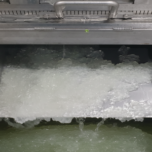 ELECCIÓN SALUDABLE | Postre de gelatina de aloe vera | Dulce y refrescante | Sin conservantes - Product Image 1