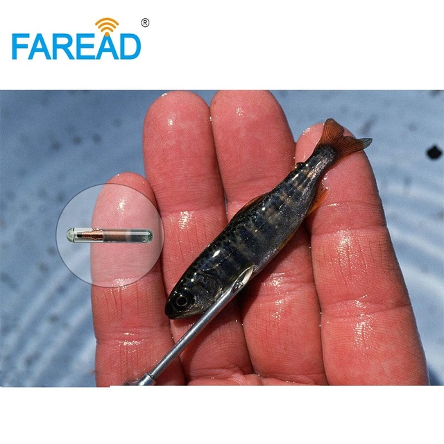 125Khz 10 Digital Number ICAR Microchip for Fish Aquaculture Arowana FDX-A Animal ID Fishery Tracking Rfid Microchip Pit Tag