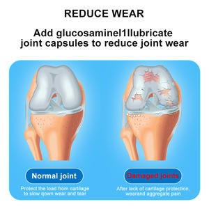 Duan Xiaofu suplemen kesehatan nutrisi tulang hiu untuk anjing membantu melindungi sendi memperbaiki peradangan dan merampingkan kaki - Product Image 4