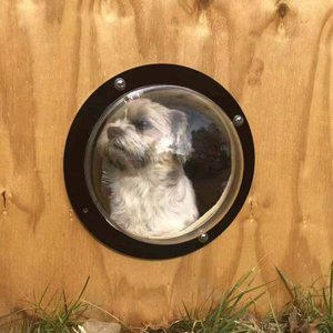 Cúpula acrílica moderna para mascotas para 2025: un refugio elegante y único inspirado en el diseño de naves espaciales - Product Image 6
