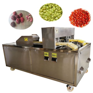 เครื่องแยกเม<span class=keywords><strong>ล</strong></span>็ดผลไม้ <span class=keywords><strong>ราคา</strong></span>โรงงาน สำหรับพลัม เชอร์รี่ พีช มะกอก อินทผลัม - Product Image 1