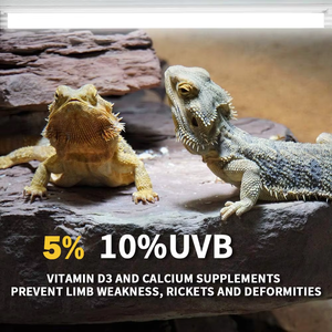 ShengXiang T8 UVB Reptilienlampe Umweltfreundlich 15-36W für Wüstenreptilien Eidechsen Bartagamen <span class=keywords><strong>Terrarium</strong></span> Röhre - Product Image 3