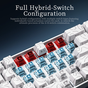คีย์บอร์ดแบบ <span class=keywords><strong>V2</strong></span> AK680, คีย์บอร์ดแบบมีสาย RT0.01MM 8kHz 0.125MS ความหน่วงต่ำรองรับ socd/dks/mt - Product Image 4