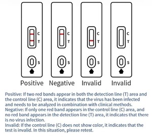 Horse <span class=keywords><strong>Rapid</strong></span> <span class=keywords><strong>Test</strong></span> Kit Kunststoff material zum Nachweis von Salmonella Abortus Equi Antigen - Product Image 5