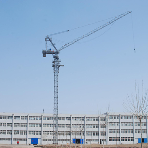 12t <b>Crane</b> D228B(SCM) <b>Tower</b> <b>Crane</b> with Cheap Price for Sale - Product Image 3